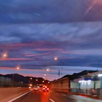 赛尔特大陆九游版下载