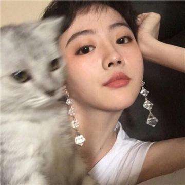 恐龙乐园2游戏(改名恐龙王国)下载